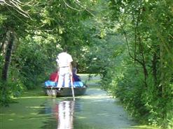 Marais Poitevin